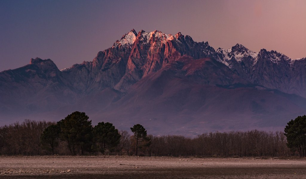 Olivar y la Sierra de Gredos nevada en La Vera