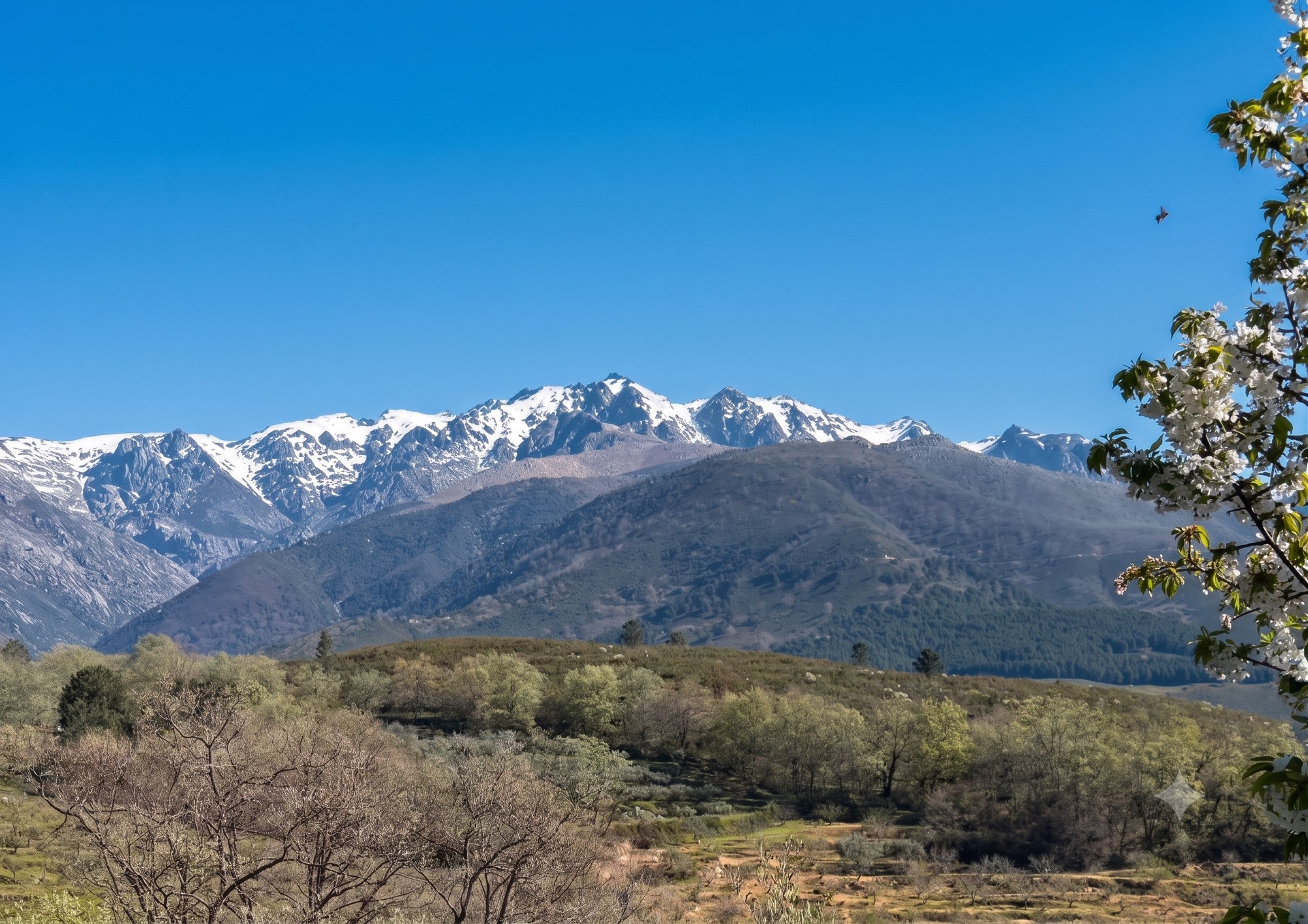 El Robledal