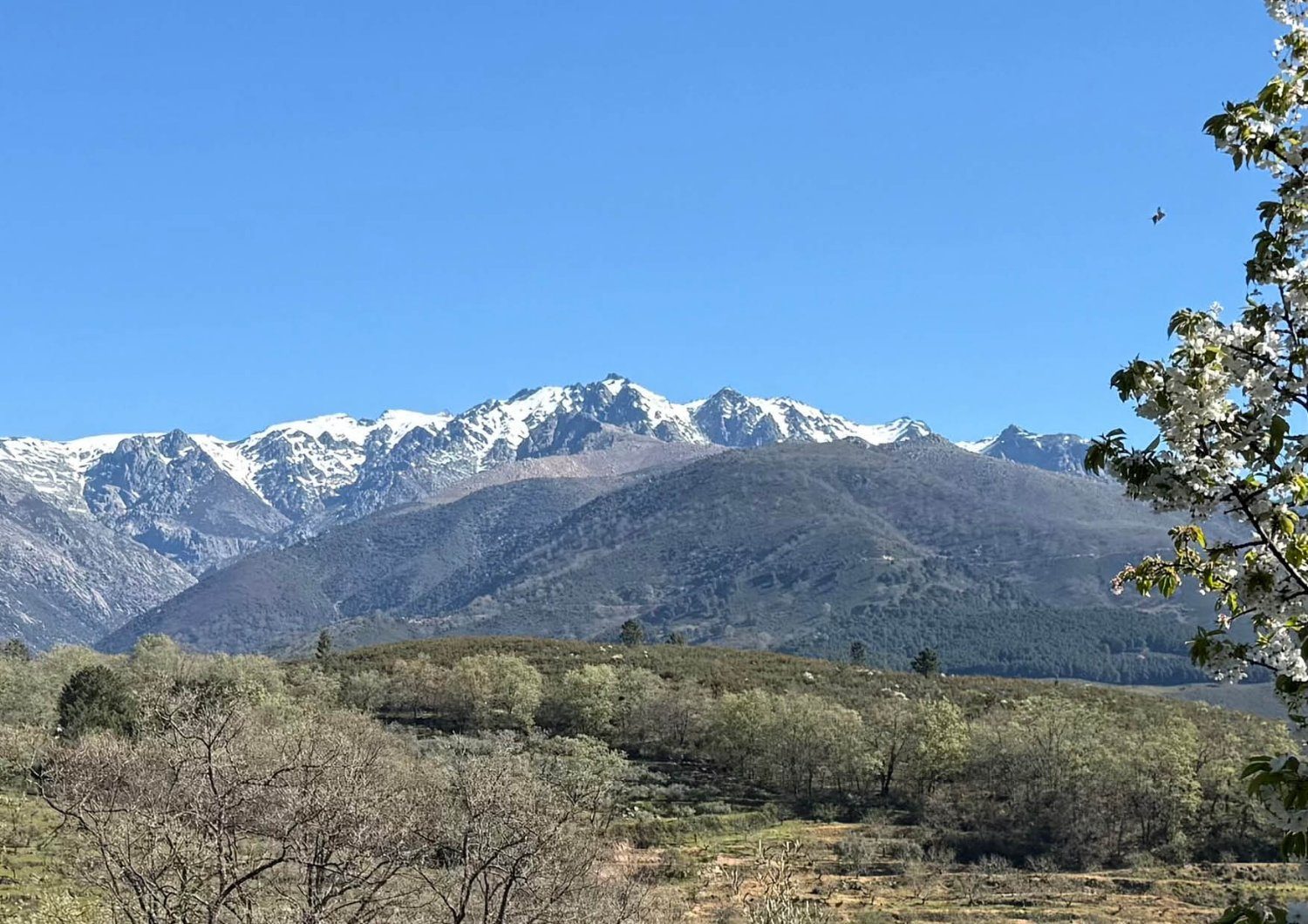 El Robledal